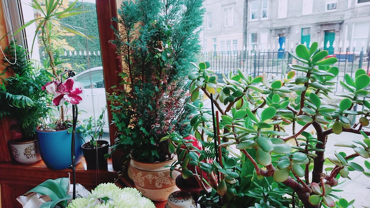 Swan Lake Guest House Edinburgh Ngoại thất bức ảnh